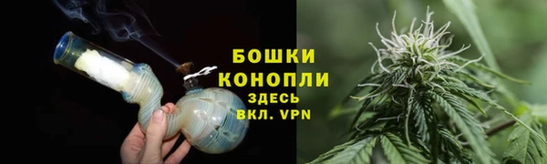 2c-b Богданович