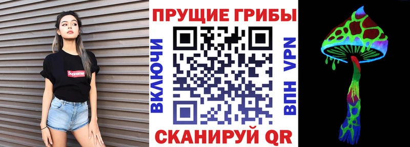 цена   Валуйки  Псилоцибиновые грибы Psilocybe 