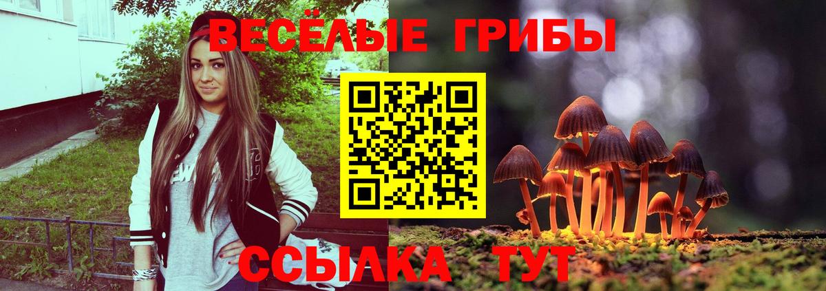 Псилоцибиновые грибы ЛСД Валуйки
