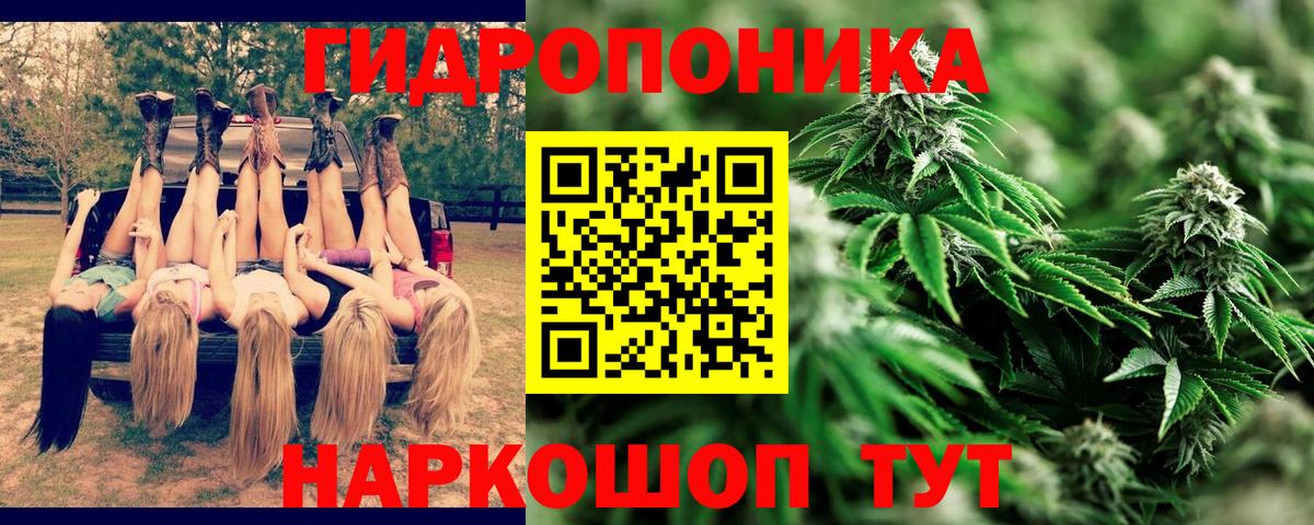 Валуйки  Марихуана план  Вход с VPN  Конопля Bruce Banner  Каннабис гибрид  Бошки марихуана план 